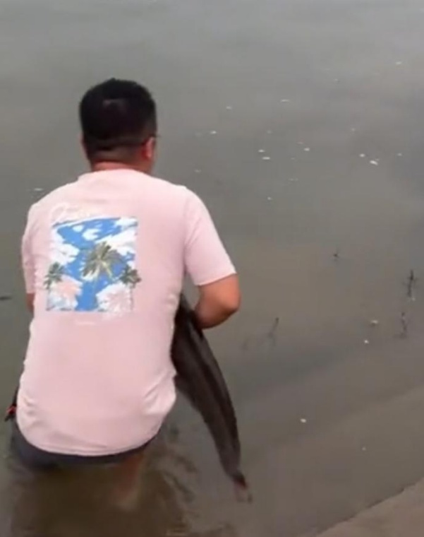 一是没有需, 穿着涉水鞋, 其回忆 一是没有需, 穿着涉水鞋, 其回忆