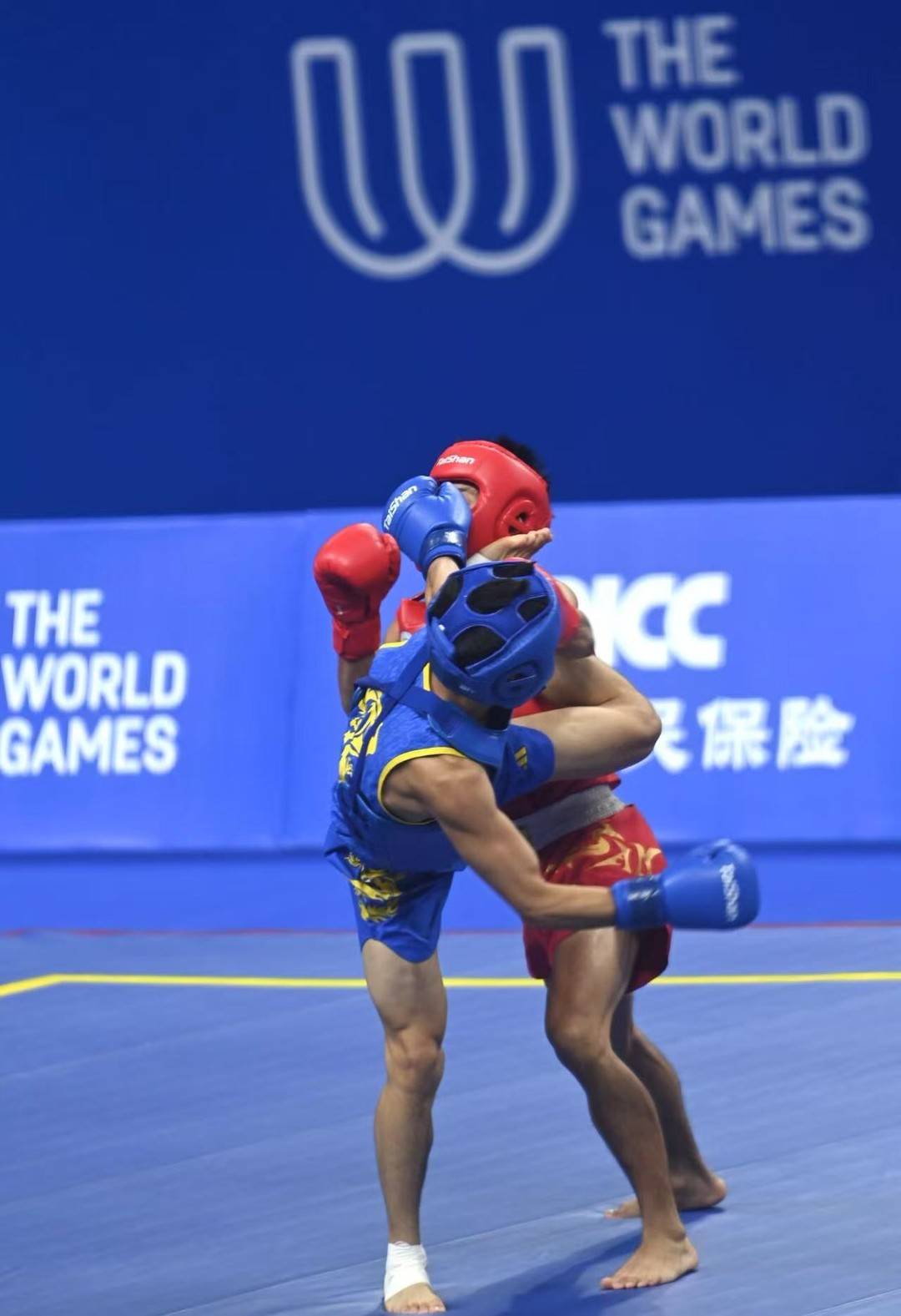 实力, 中国武术散