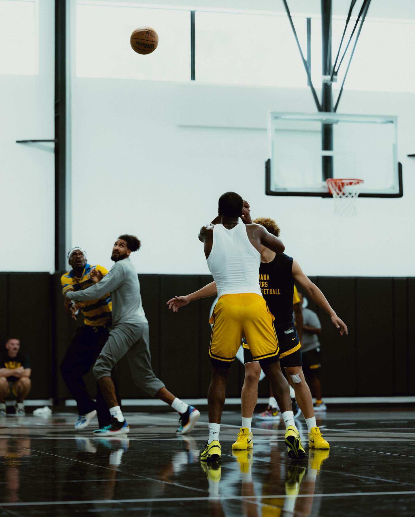 ns晒训练, tenan, msn